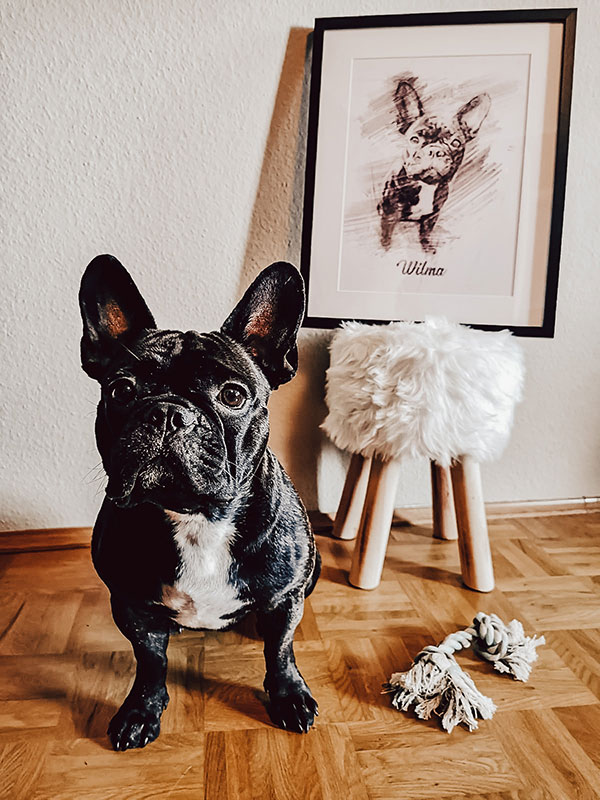 Garderobe individuell Eigenmotiv Geschenkidee Französische Bulldogge Bully Hund 